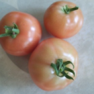 Tues. -- tomatoes
